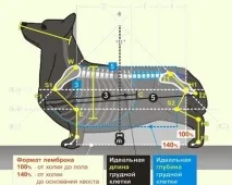 пемброк пемброк