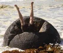 Валуни Моєракі (Moeraki Boulders) у Новій Зеландії новій