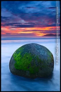 Валуни Моєракі (Moeraki Boulders), Перше знайомство з Новою Зеландією, Мої 100 доріг моєракі