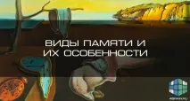 4brain техните