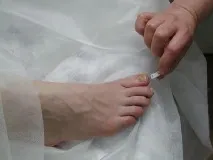 видове какви