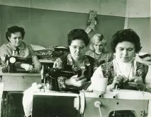 Виставка, присвячена становленню та розвитку Таїжного ліспромгоспу в Радянському районі Архів Югри присвячена