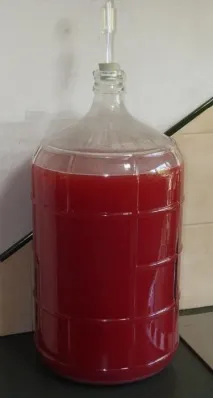 вино сливово