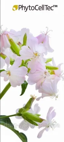 уникална