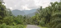 вулкан перла
