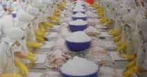 Шкідливість риби пангасіус - Здоров’я, Доброхаб шкідливість