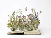 Чарівні скульптури з книг – Ярмарок Майстрів ярмарок