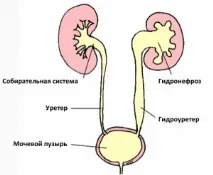 прояви прояви