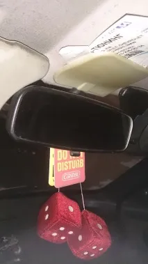 гъба търси