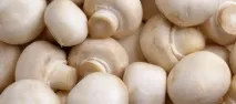 ростовській