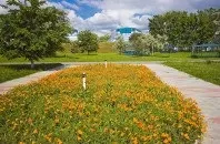 Санаторій - Дюна, Анапа, відгуки, адреса, телефон, Офіційний сайт - Курортний портал України відгуки
