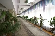 кисловодск санаториум