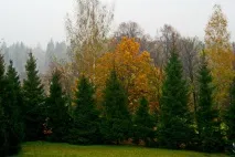санаторій