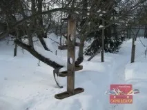 домашно