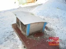 любимци