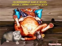 Я - не ледар! Я-князь дивана я-князь