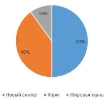 Жирні кислоти в молоці, що вони нам говорять про корову молоці