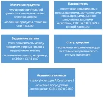 Жирні кислоти в молоці, що вони нам говорять про корову жирні