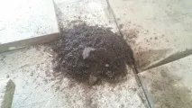 баки