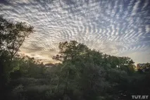 Света София Света София