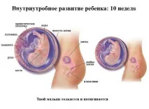 розмір