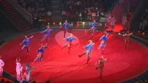 златни никулин