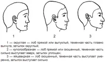 структура морфологични