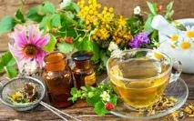 Анемія народні рецепти від анемії-Лікування травами, рецепти народної медицини анемії-лікування