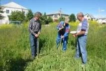 Алея в саду чарівне місце для прогулянок алея