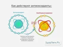 радикалів