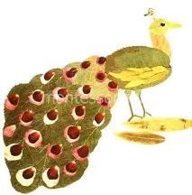 листа листа