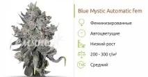 мирис мирис