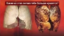 форма наргиле