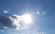 сонниках