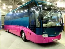 делфин автобус