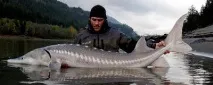 Байкальська риба список, опис байкальська