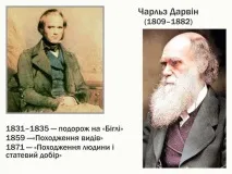 I. Курс зоології хребетних-04. Зоологія хребетних та її історія хребетних-04