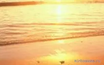 сонниках
