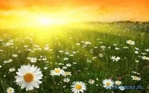 сонце