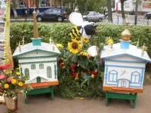 Нефтекамську - 50 років! Свято квітів (продовження зі святкування ювілею міста) продовження