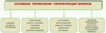 Роль епіфіза в організмі та його патології його