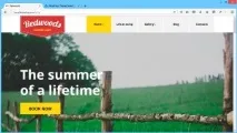WordPress. Як дізнатися назву шаблону, який використовується на сайті назву