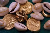 shells shells
