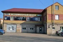 Швидка допомога домашнім тваринам – це ветеринарна клініка у Пскові швидка