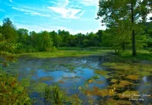 трябва бъде водни