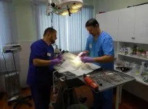 Швидка допомога домашнім тваринам – це ветеринарна клініка у Пскові швидка