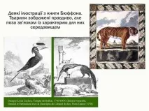 I. Курс зоології хребетних-04. Зоологія хребетних та її історія хребетних-04