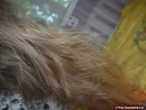 биоламиниране възстановяване