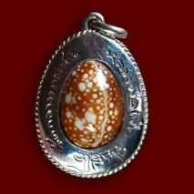 shells благоприятни