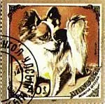 Читати книгу Слово про собаку, автор Корнєєв Лев онлайн сторінка 12 на сайті слово